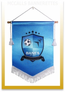 Bath and Somerset Football Development Pennants Image