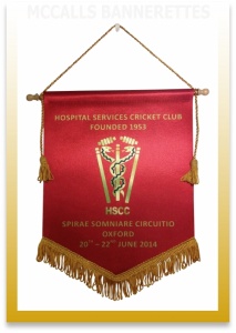 Hospital Services Cricket Club Bannerettes and Pennants Image