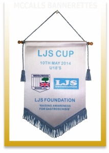 LJS Foundation pennant flags Image
