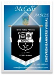 Printed Soccer Pennants Design Image