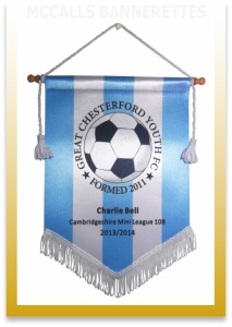 soccer pennants Design Image